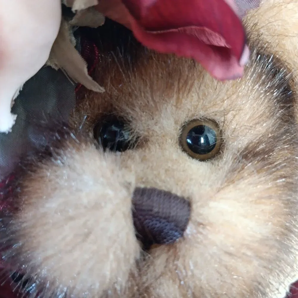 Unbranded bearington collection